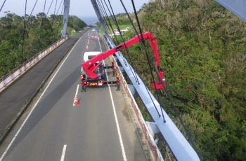 ニールセンローゼ橋の補修設計